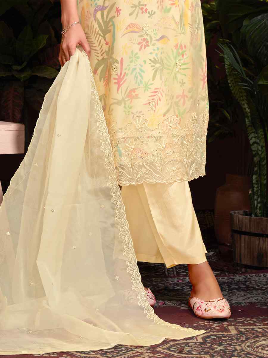 Beige Organza Embroidered Festival Casual Ready Pant Salwar Kameez