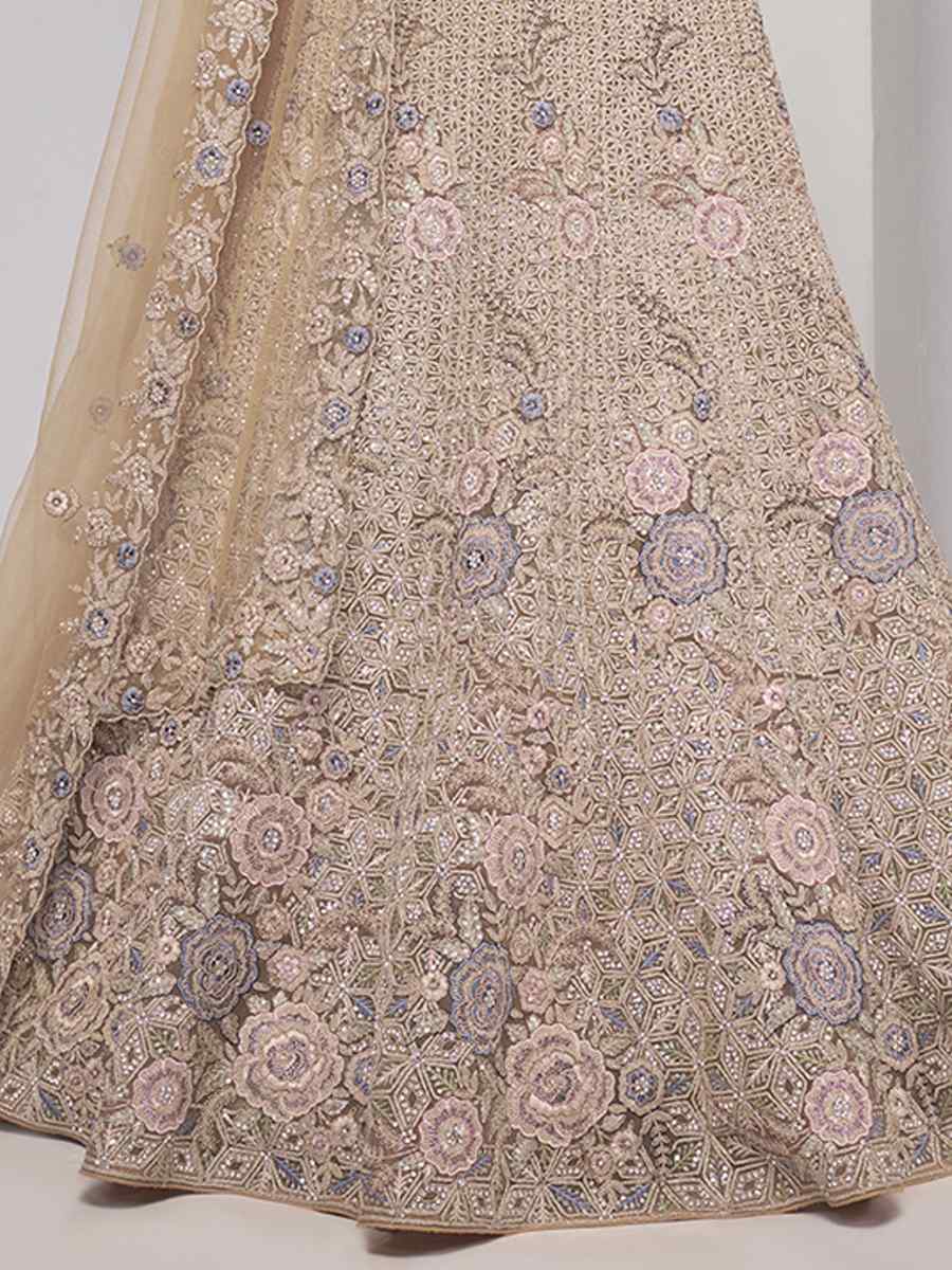 Beige Soft Net Embroidery Bridesmaid Wedding Heavy Border Lehenga Choli