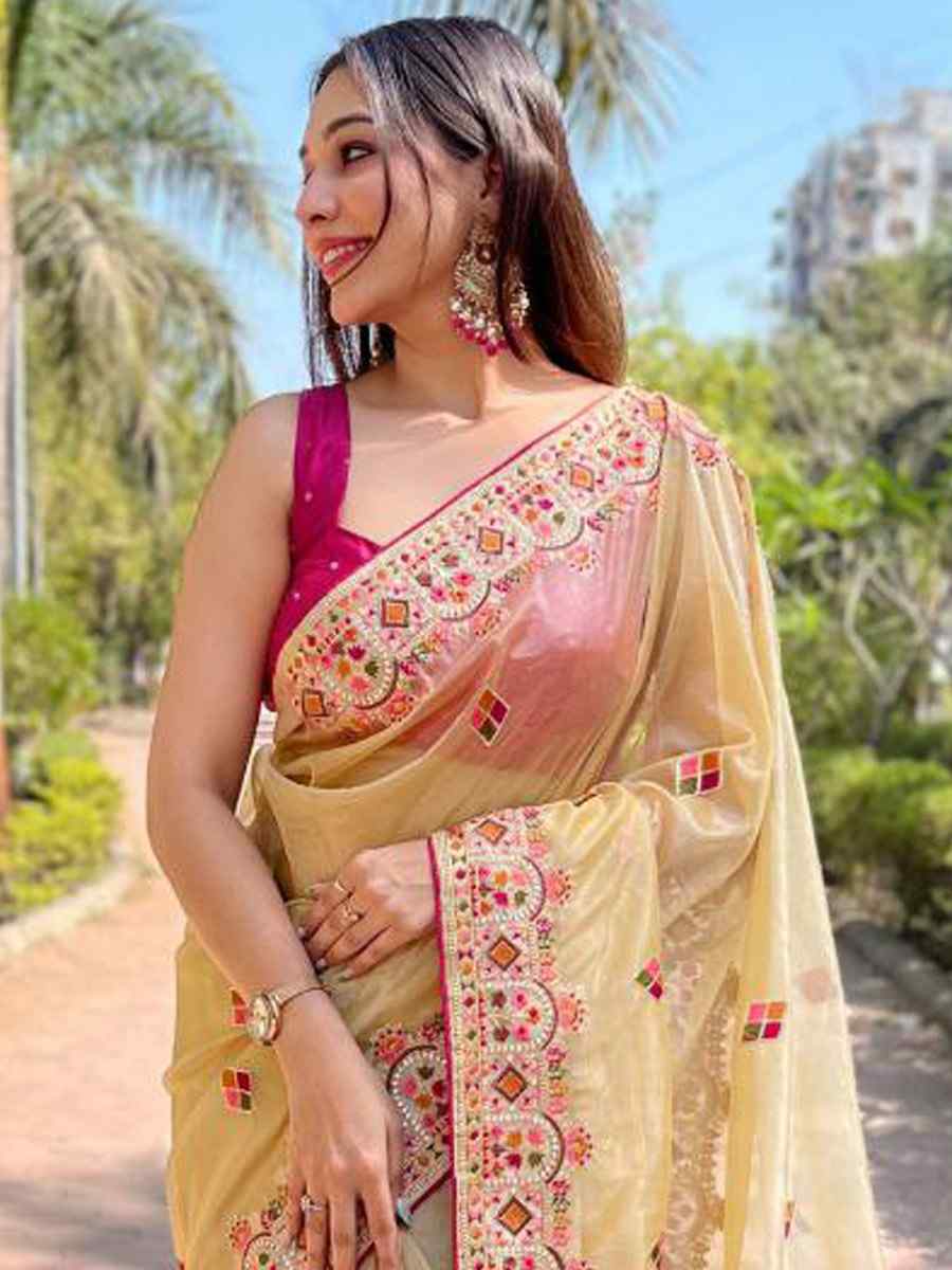 Beige Twill Net Embroidered Party Reception Heavy Border Saree