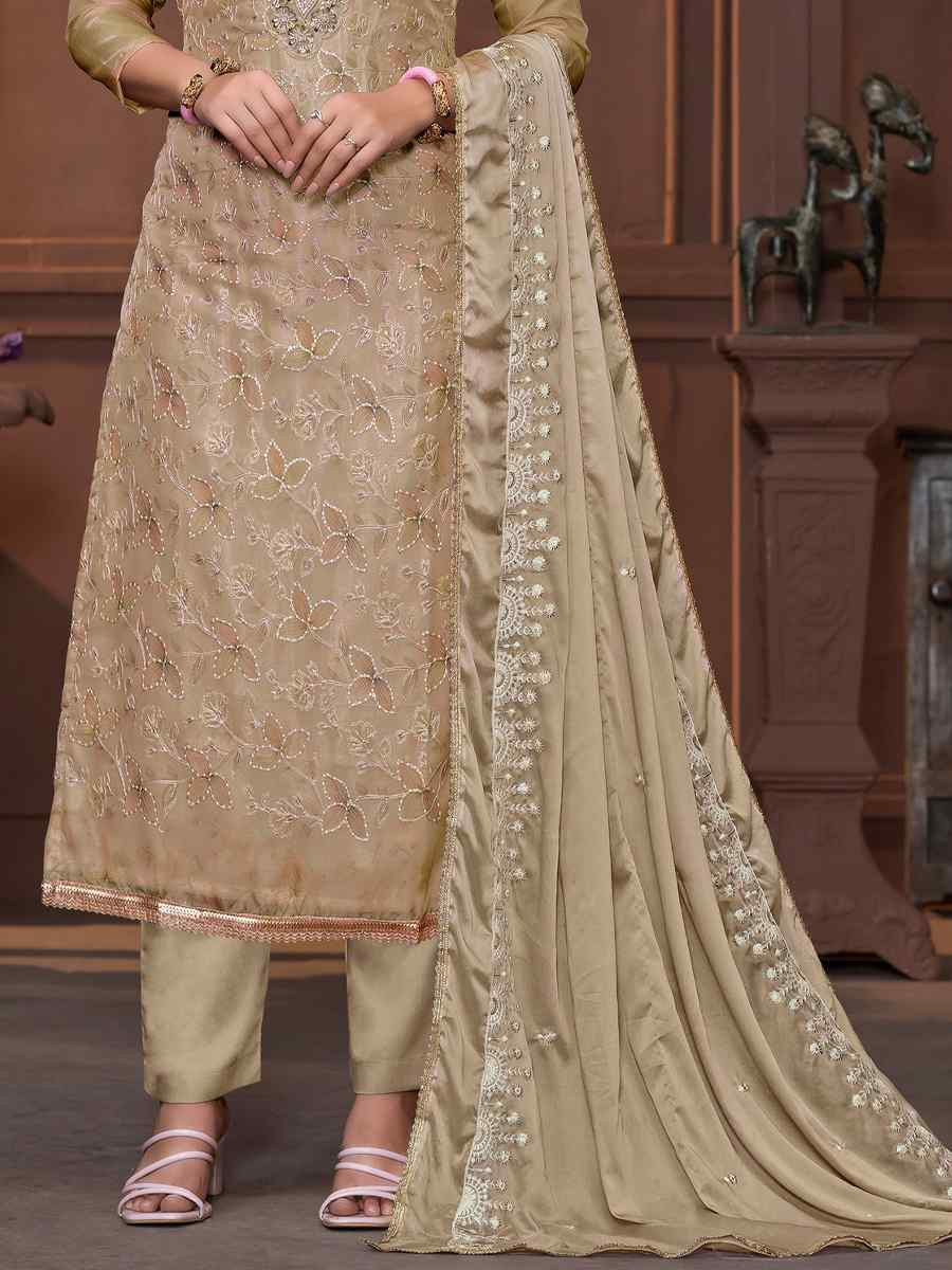 Beige Viscose Organza Embroidered Casual Festival Pant Salwar Kameez