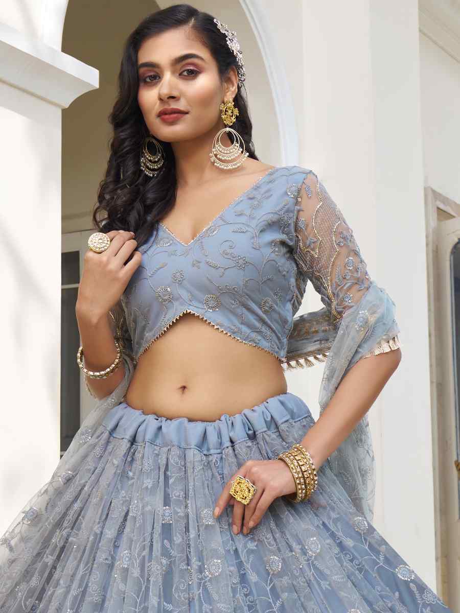 Blue Butterfly Net Embroidered Wedding Festival Heavy Border Lehenga Choli