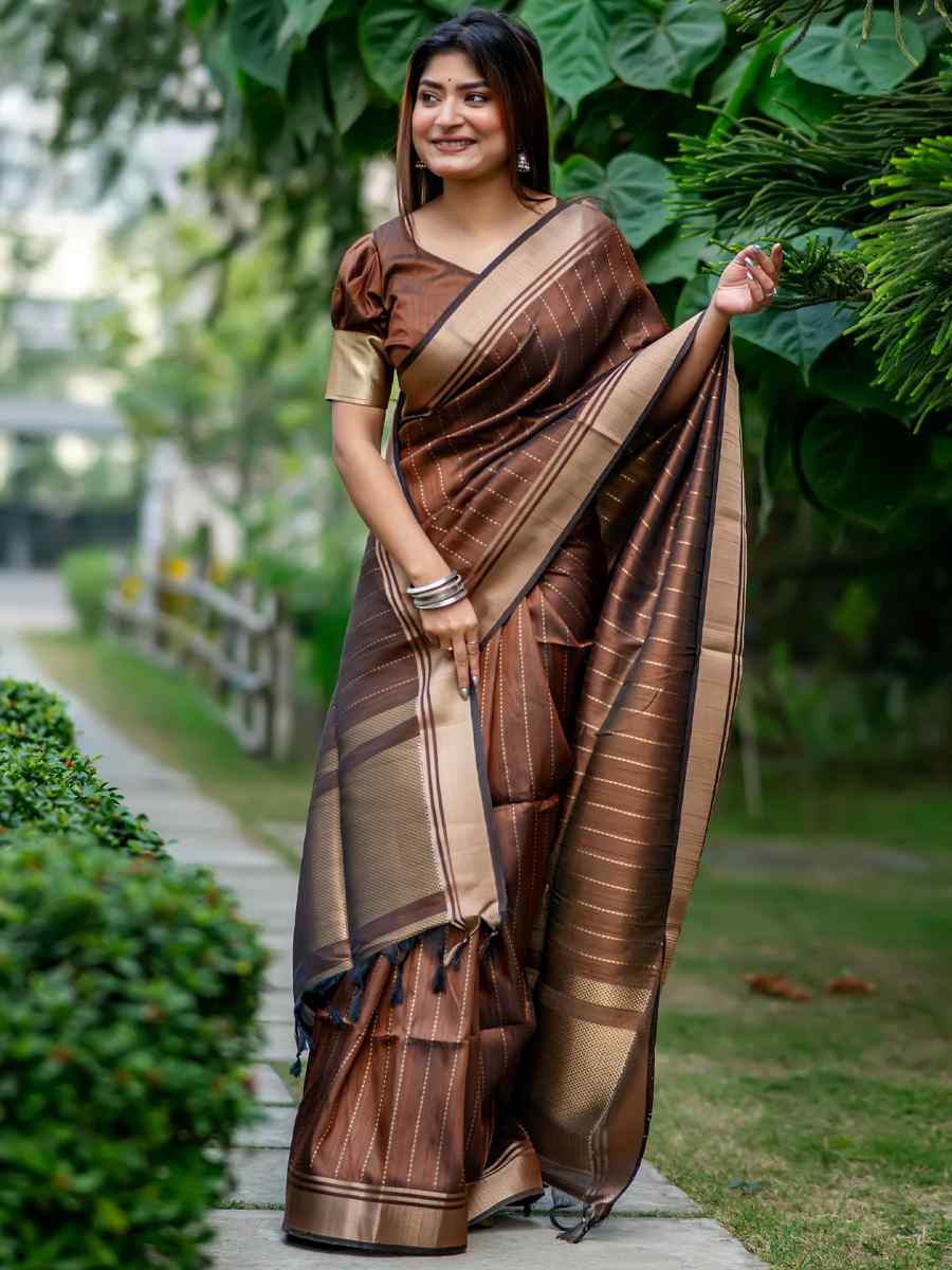 Brown Banarasi Raw Silk Handwoven Festival Wedding Heavy Border Saree