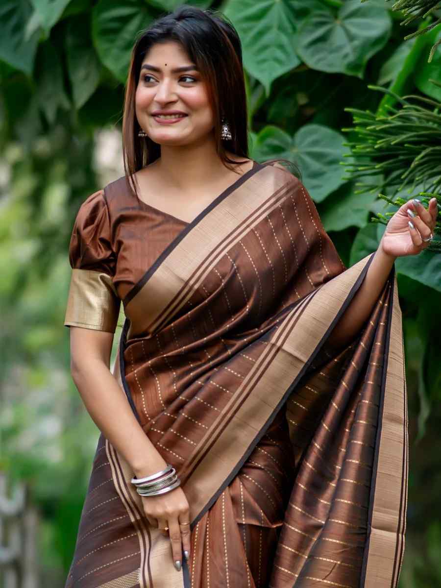 Brown Banarasi Raw Silk Handwoven Festival Wedding Heavy Border Saree