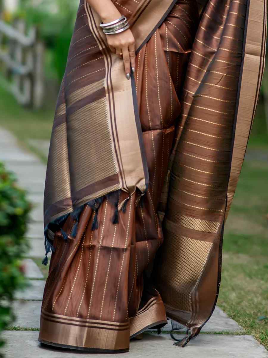 Brown Banarasi Raw Silk Handwoven Festival Wedding Heavy Border Saree