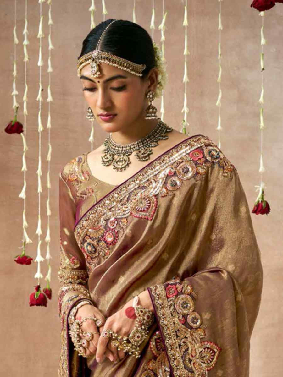 Brown Organza Silk Embroidered Reception Wedding Heavy Border Saree