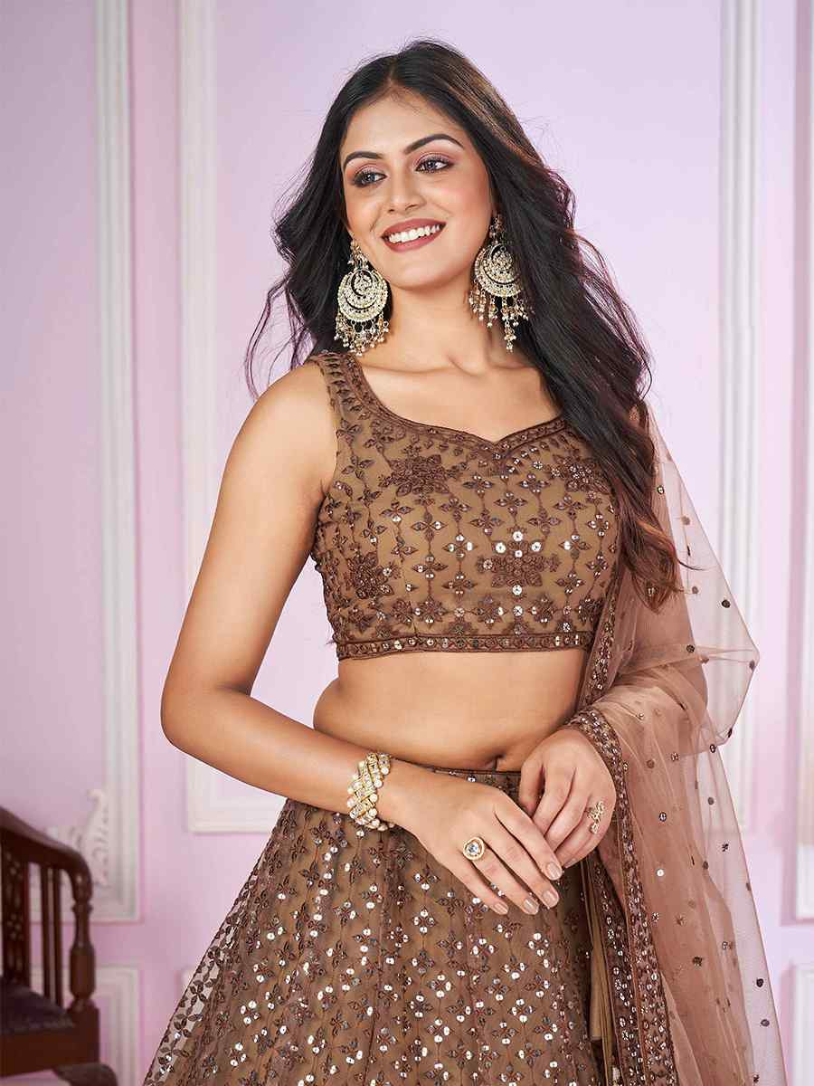 Brown Soft Net Embroidered Festival Wedding Heavy Border Lehenga Choli