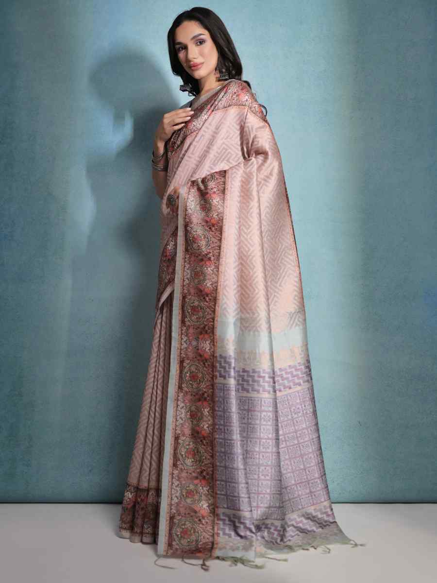 Chikoo Cotton Silk Handwoven Festival Wedding Heavy Border Saree