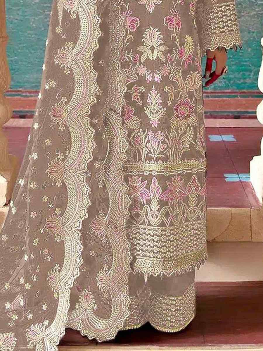 Chiku Organza Embroidered Festival Wedding Pant Salwar Kameez