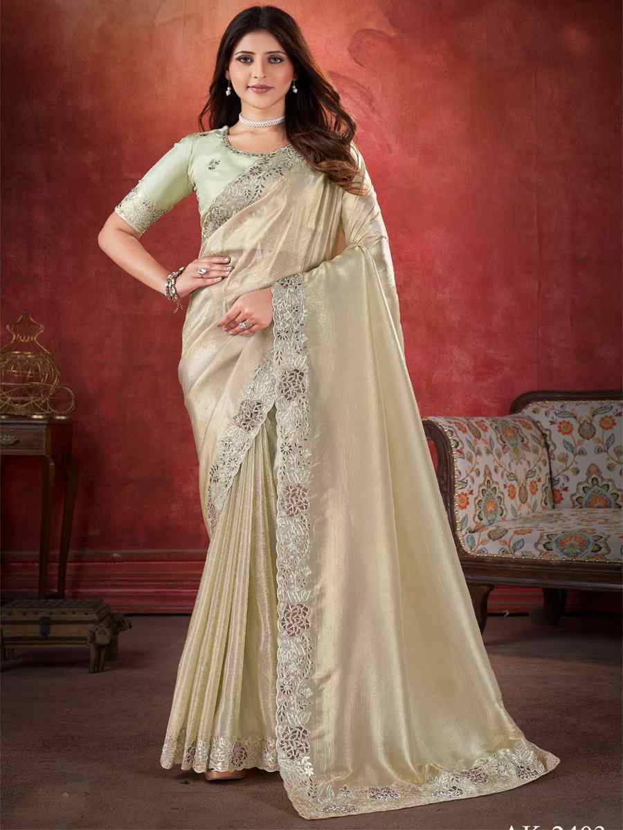 Chiku Silk Handwoven Wedding Festival Heavy Border Saree