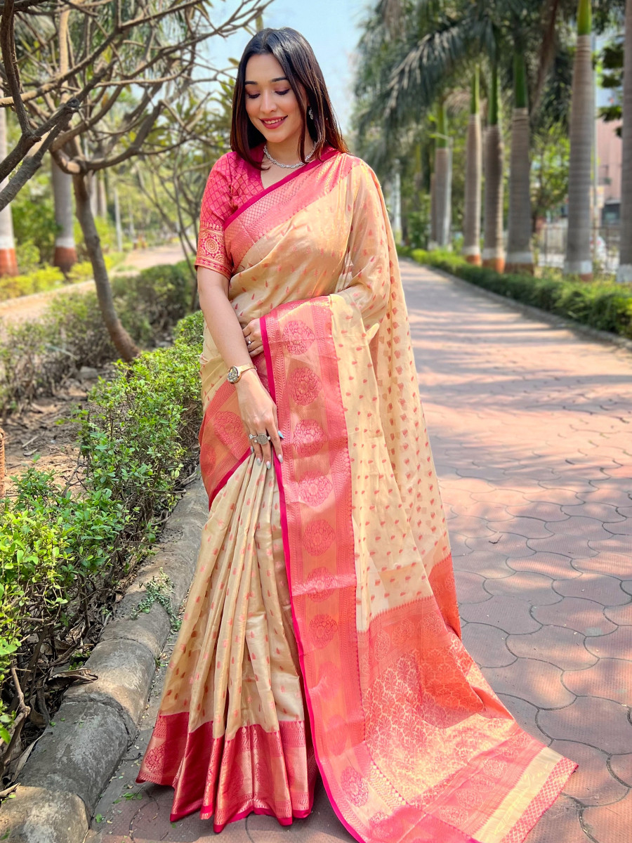 Chiku Tissue Silk Handwoven Festival Wedding Heavy Border Saree