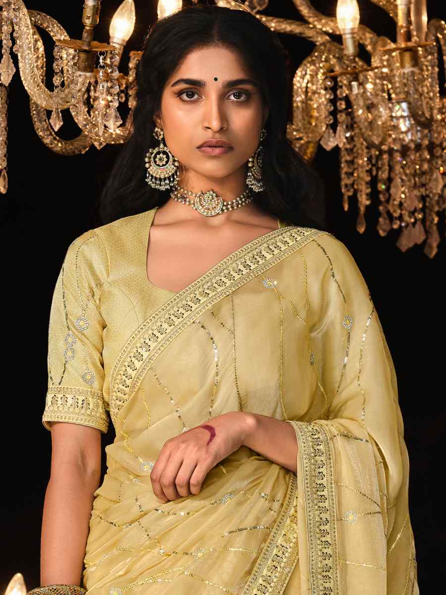 Lemon Glass Tissue Embroidered Wedding Festival Heavy Border Saree