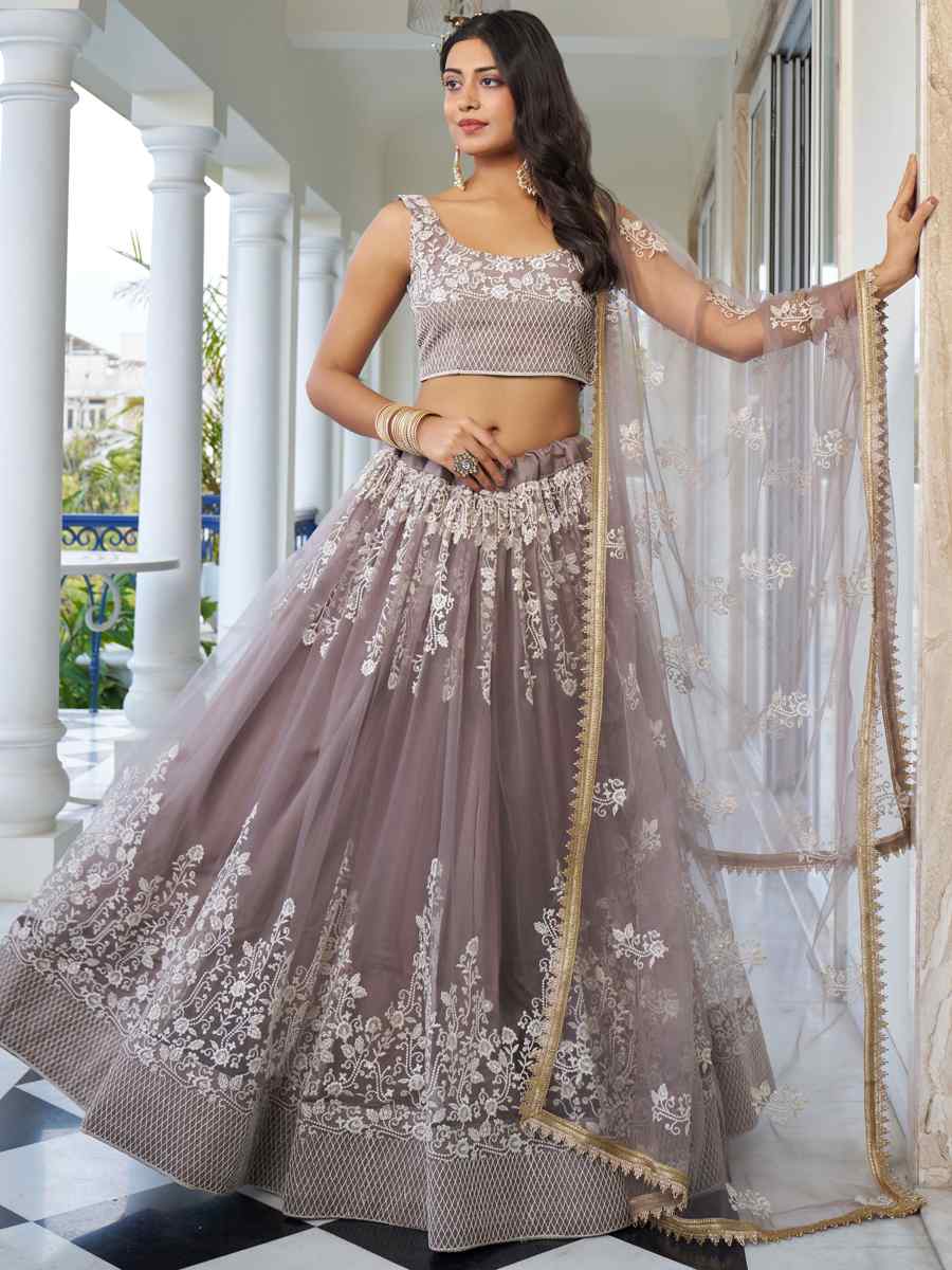 Light Dusty Brown Butterfly Net Embroidery Reception Party Wear Heavy Border Lehenga Choli