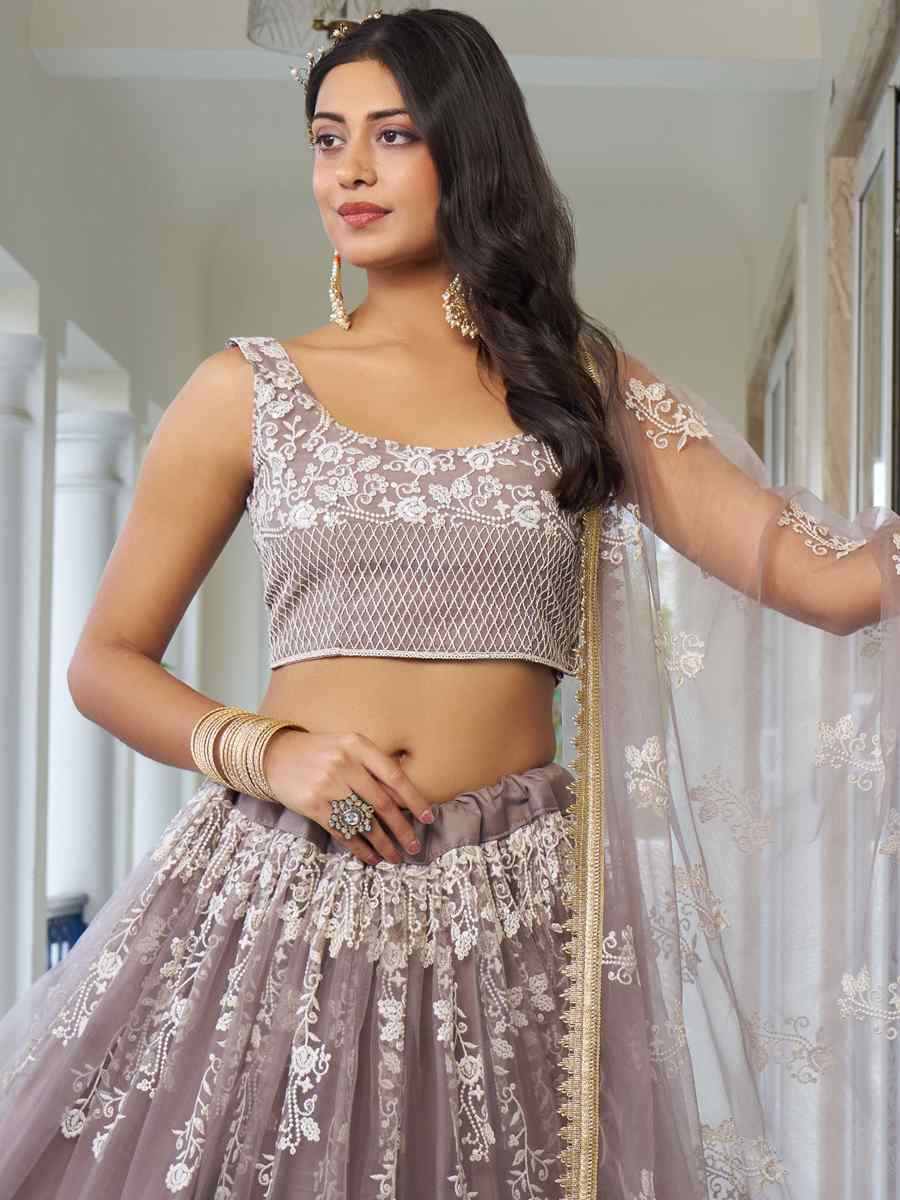 Light Dusty Brown Butterfly Net Embroidery Reception Party Wear Heavy Border Lehenga Choli