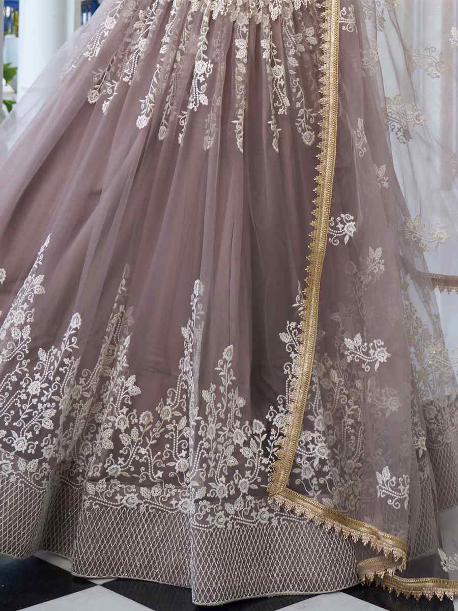 Light Dusty Brown Butterfly Net Embroidery Reception Party Wear Heavy Border Lehenga Choli