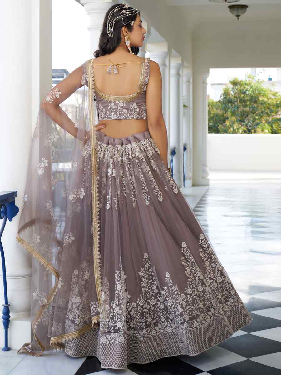 Light Dusty Brown Butterfly Net Embroidery Reception Party Wear Heavy Border Lehenga Choli