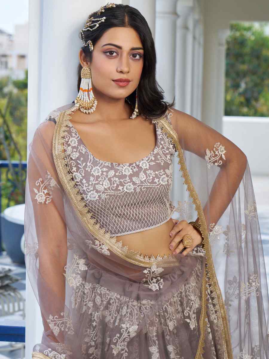 Light Dusty Brown Butterfly Net Embroidery Reception Party Wear Heavy Border Lehenga Choli