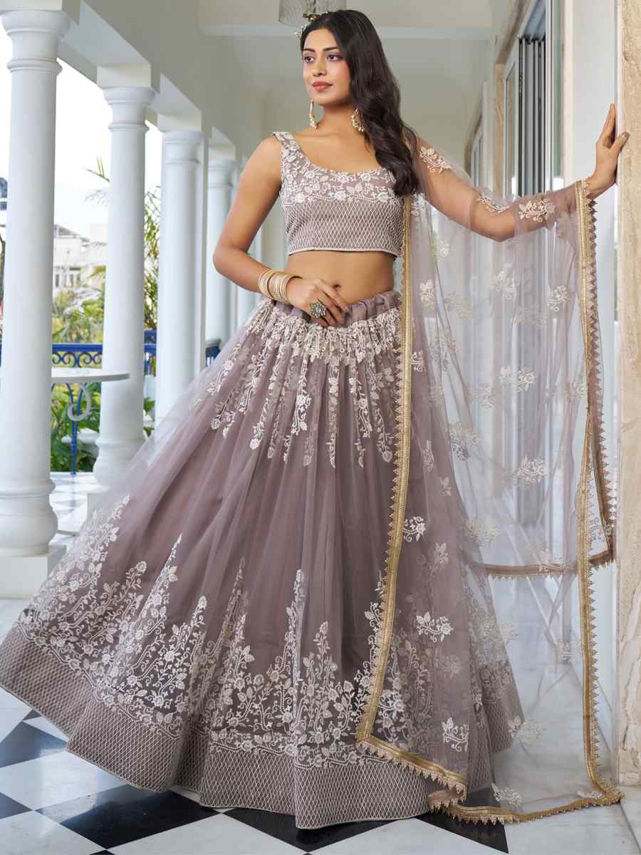 Light Dusty Brown Butterfly Net Embroidery Reception Party Wear Heavy Border Lehenga Choli