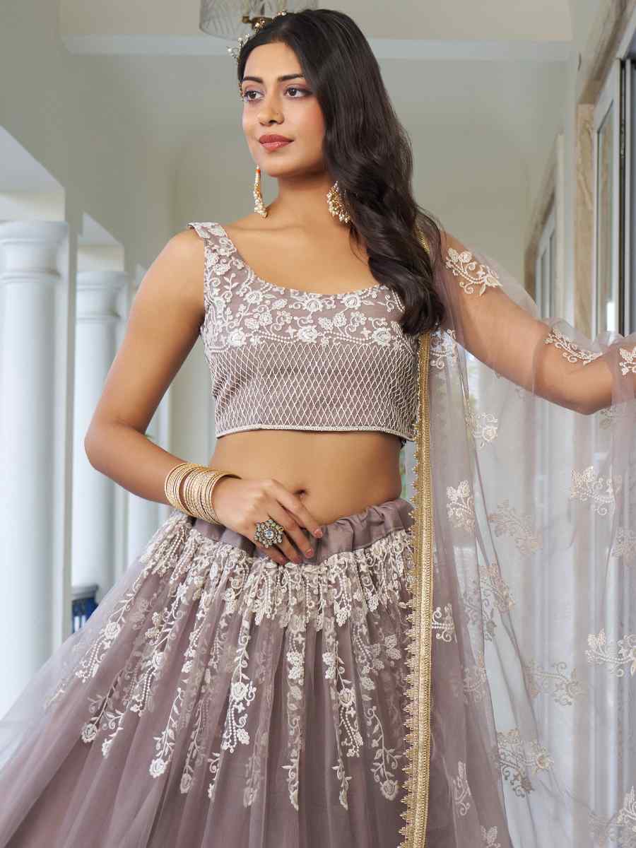 Light Dusty Brown Butterfly Net Embroidery Reception Party Wear Heavy Border Lehenga Choli