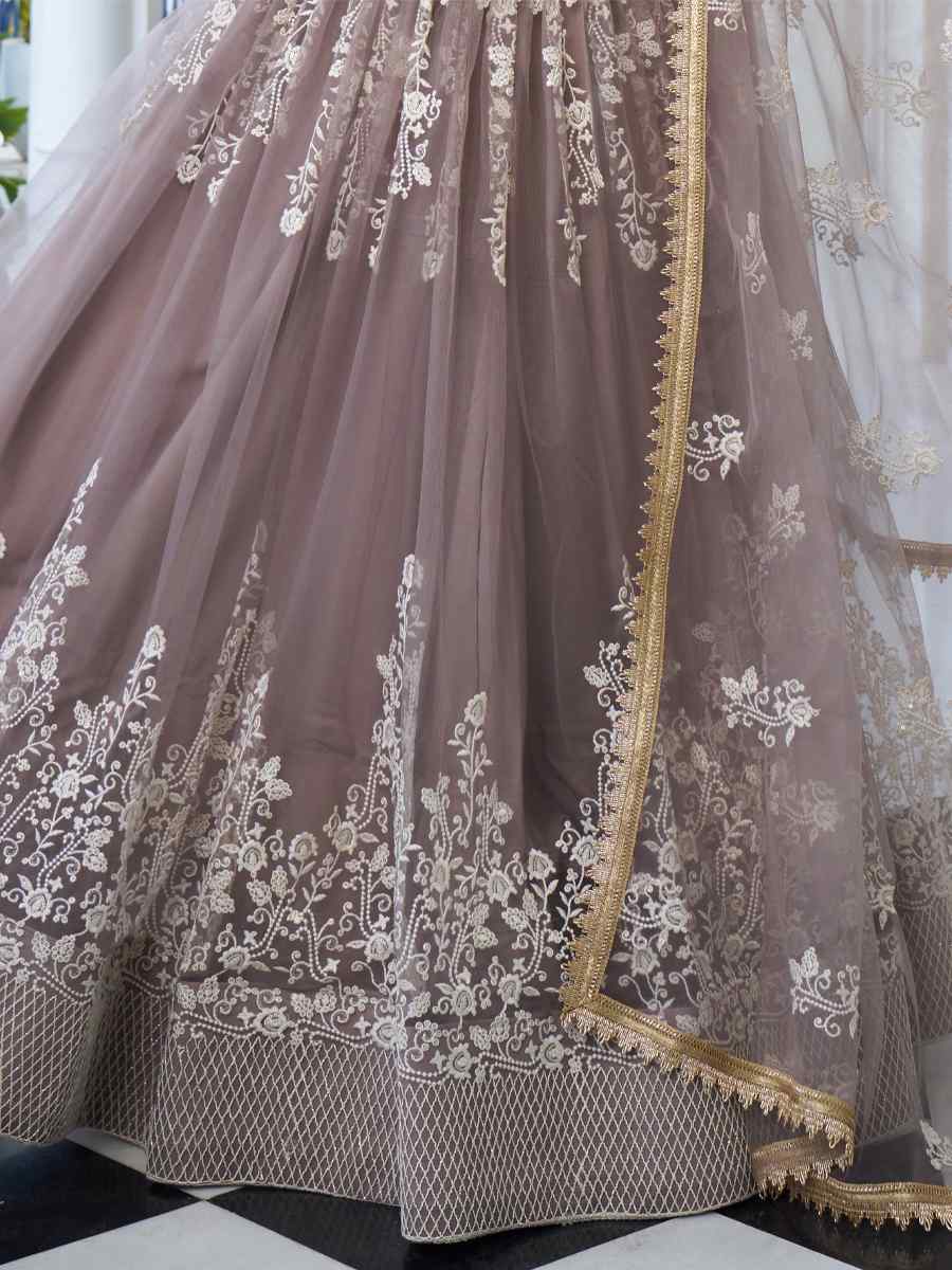 Light Dusty Brown Butterfly Net Embroidery Reception Party Wear Heavy Border Lehenga Choli