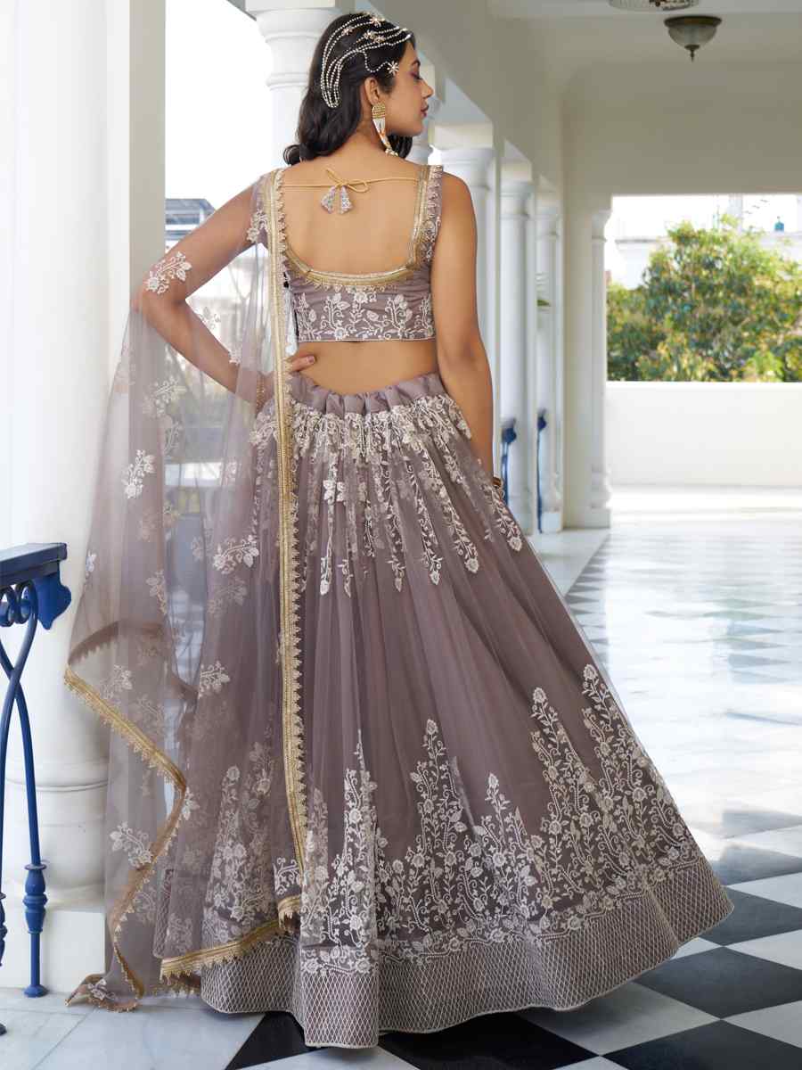 Light Dusty Brown Butterfly Net Embroidery Reception Party Wear Heavy Border Lehenga Choli