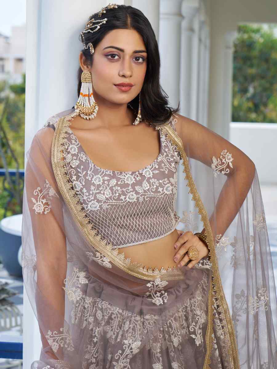 Light Dusty Brown Butterfly Net Embroidery Reception Party Wear Heavy Border Lehenga Choli