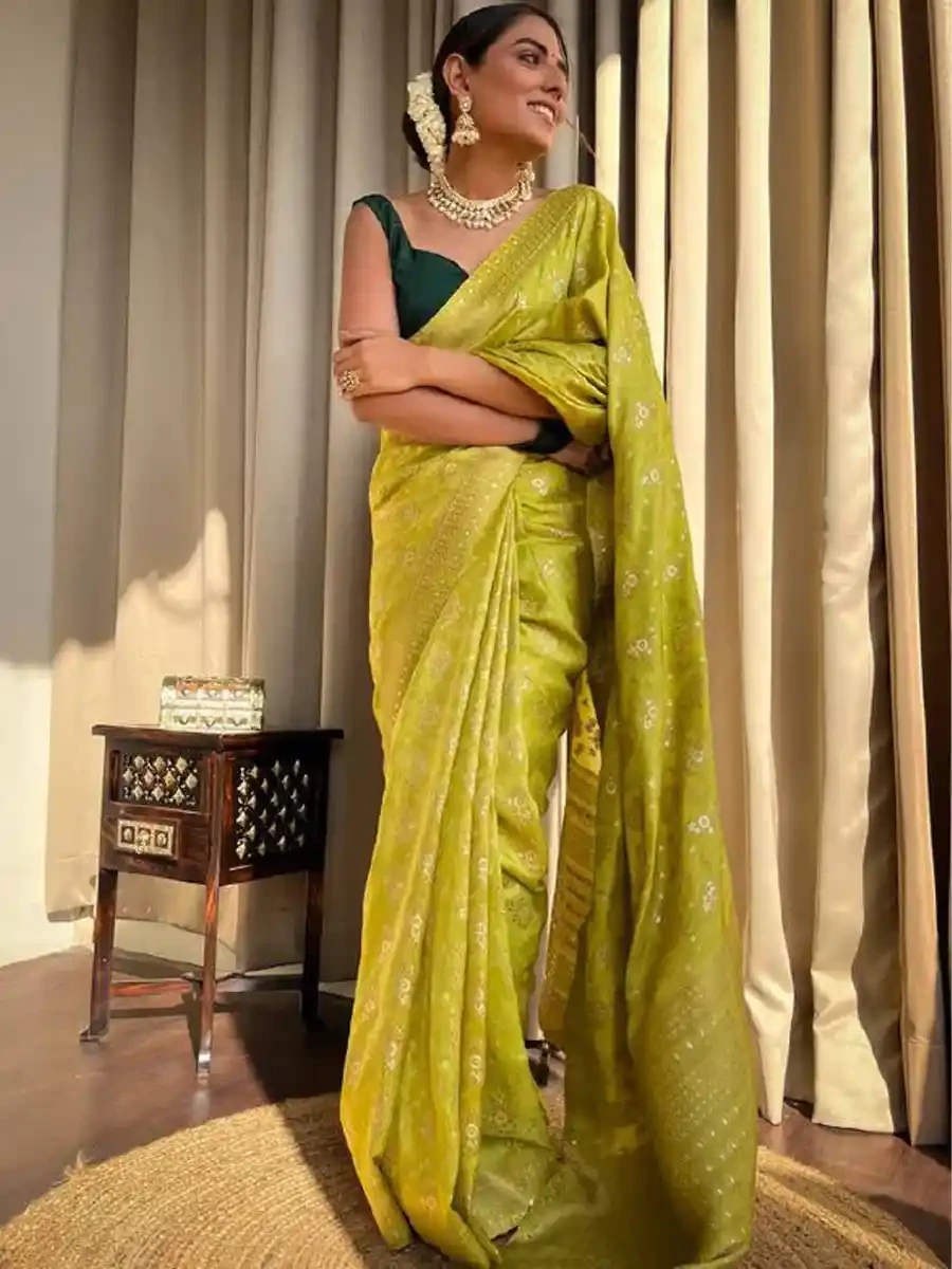 Light Green Banarasi Silk Handwoven Festival Wedding Heavy Border Saree