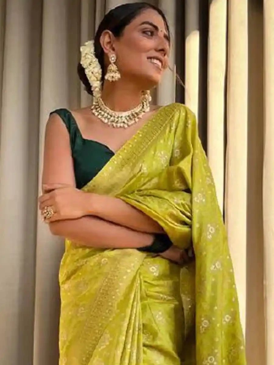 Light Green Banarasi Silk Handwoven Festival Wedding Heavy Border Saree