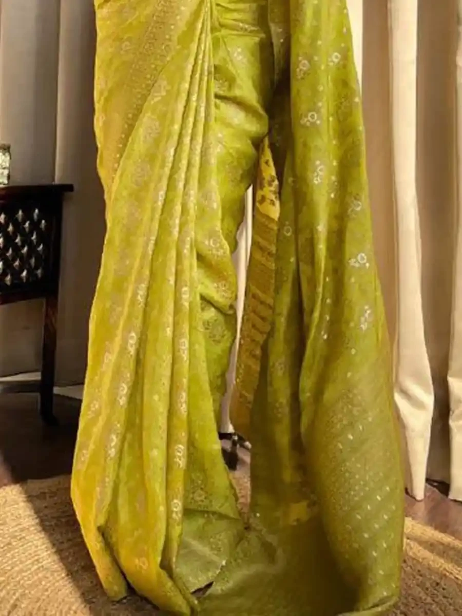 Light Green Banarasi Silk Handwoven Festival Wedding Heavy Border Saree