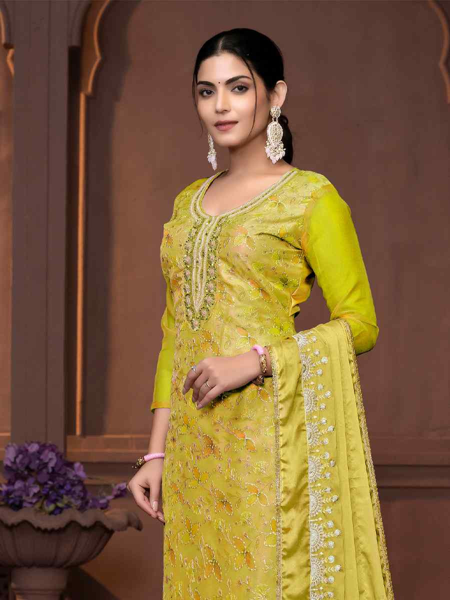 Light Green Viscose Organza Embroidered Casual Festival Pant Salwar Kameez