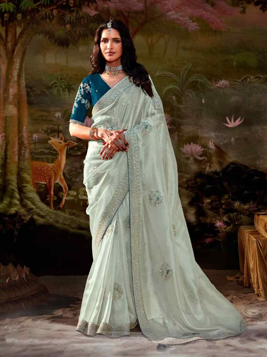 Light Grey Organza Chiffon Embroidered Reception Party Heavy Border Saree