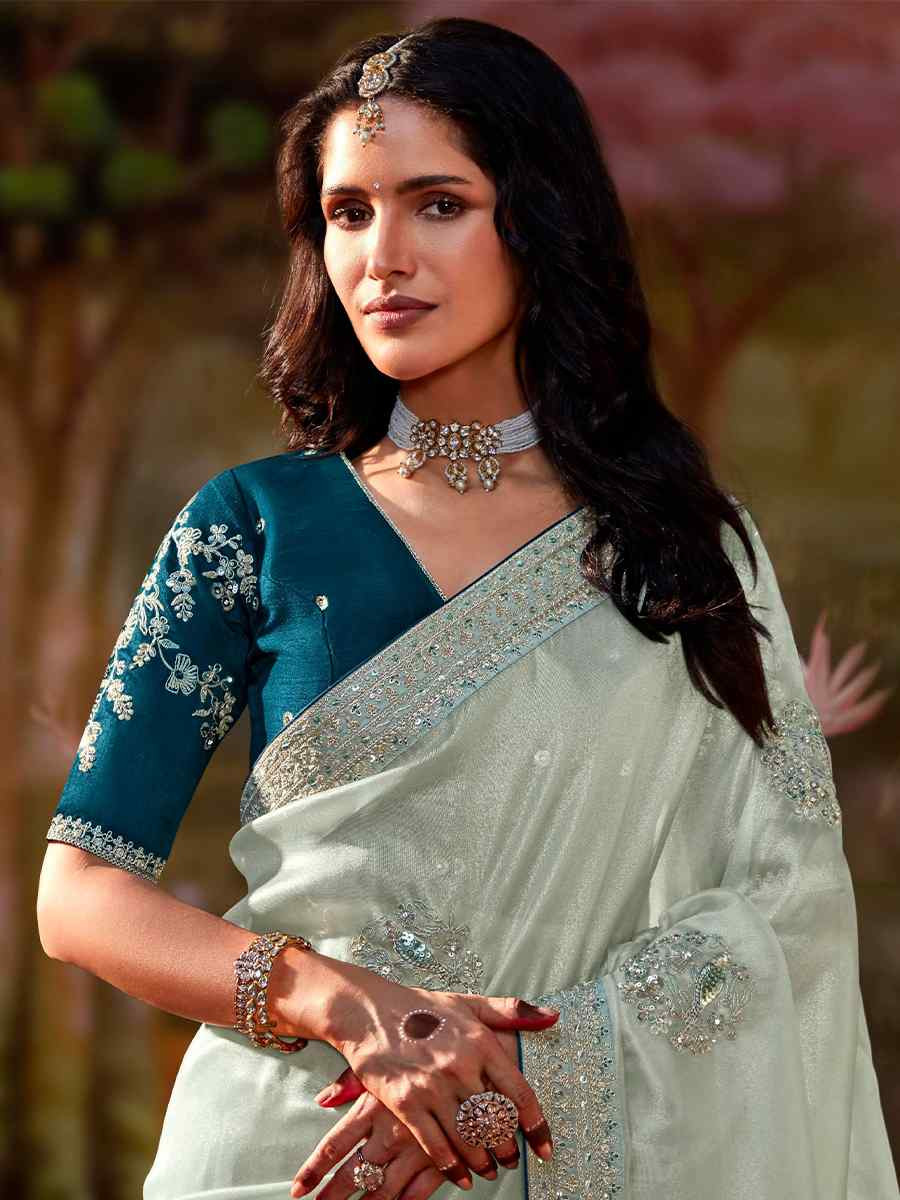 Light Grey Organza Chiffon Embroidered Reception Party Heavy Border Saree