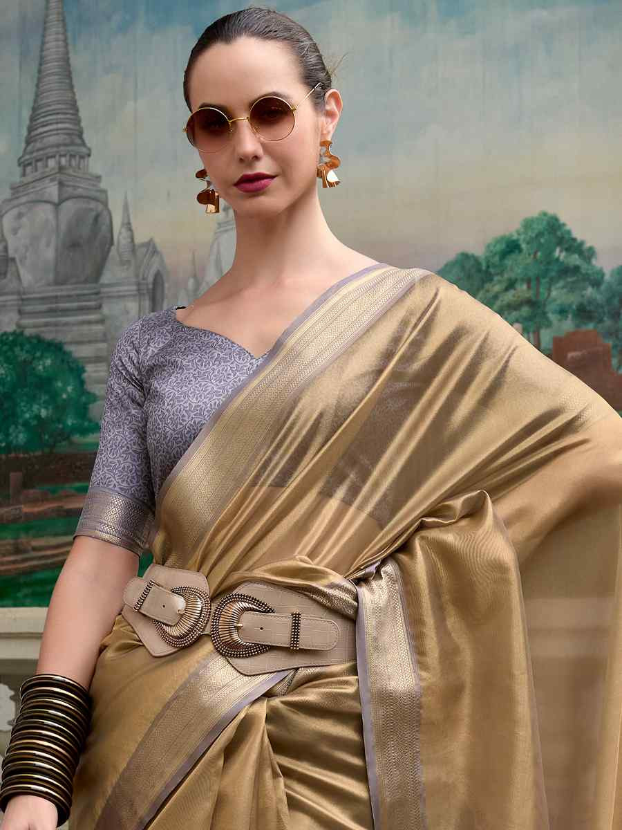 Light Grey Pure Tisshue Silk Handwoven Festival Wedding Heavy Border Saree