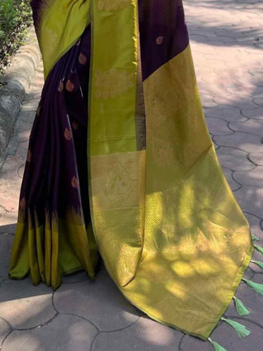 Multi Banarasi Soft Silk Handwoven Festival Casual Heavy Border Saree