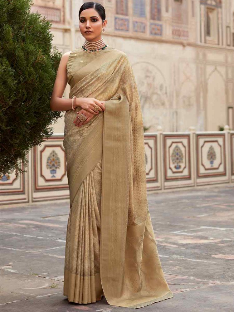 Multi Soft Tissue Silk  Handwoven Festival Casual Heavy Border Saree