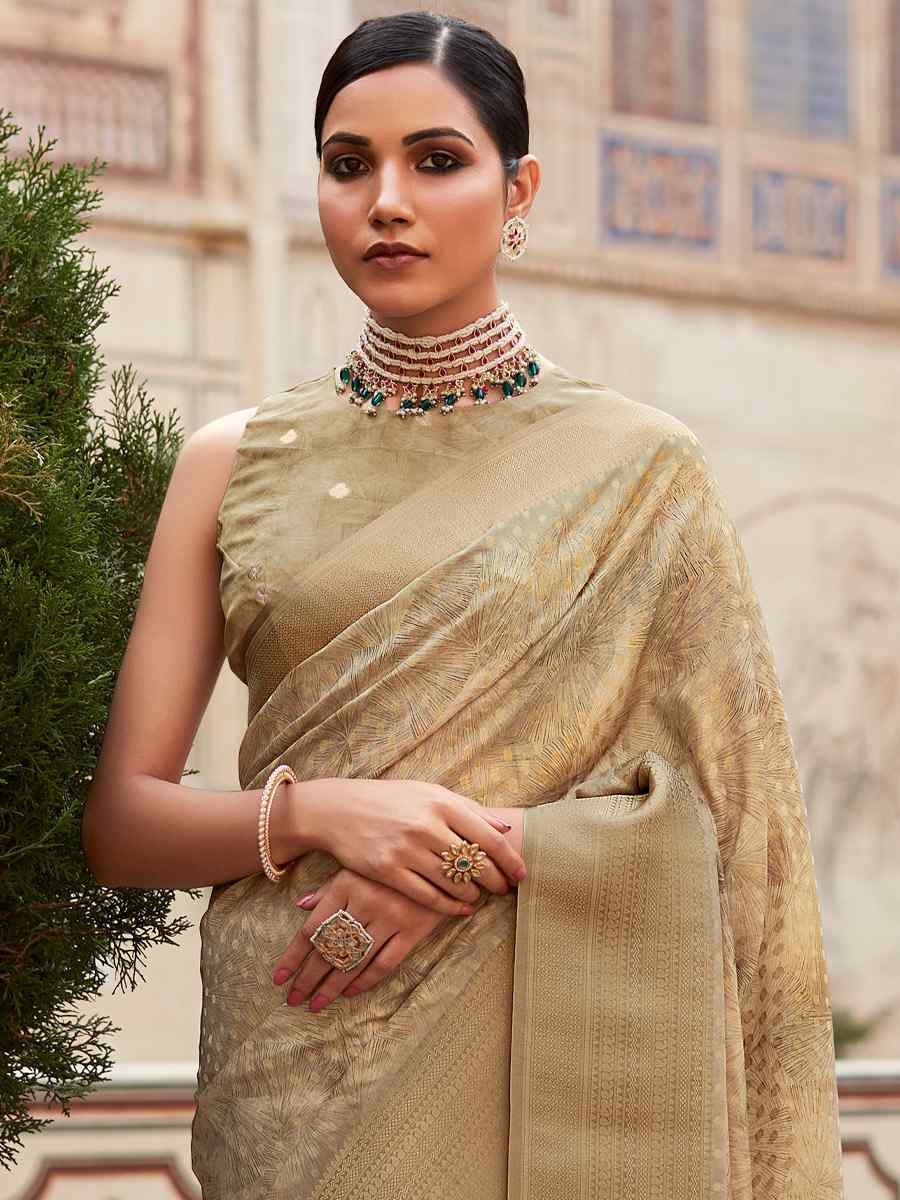 Multi Soft Tissue Silk  Handwoven Festival Casual Heavy Border Saree