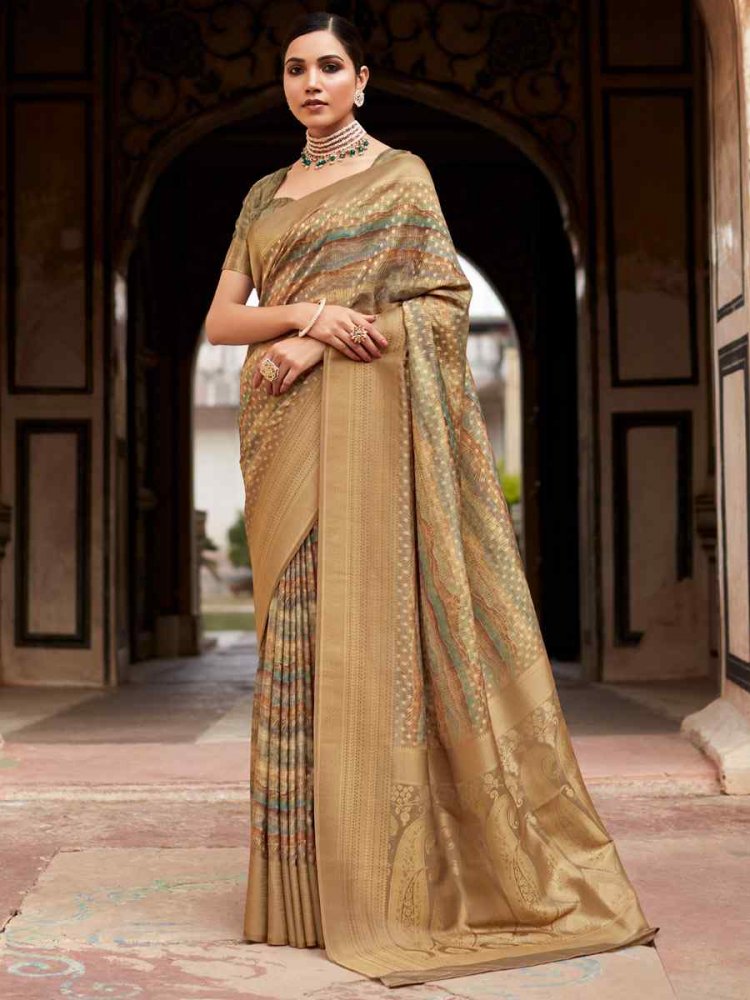 Multi Soft Tissue Silk  Handwoven Festival Casual Heavy Border Saree