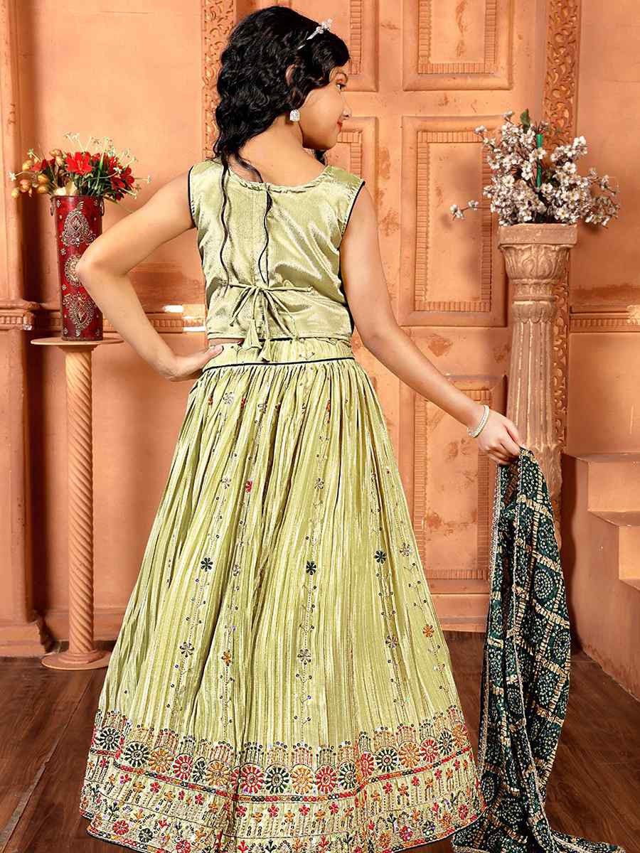 Pista Chinon Embroidered Wedding Festival Lehengas Girls Wear