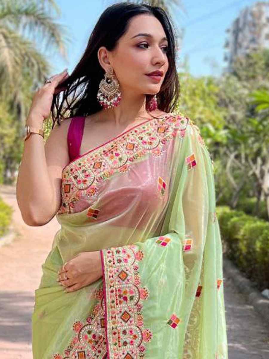 Pista Twill Net Embroidered Party Reception Heavy Border Saree