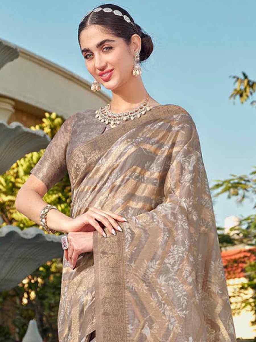 Silver Organza Handwoven Festival Wedding Heavy Border Saree